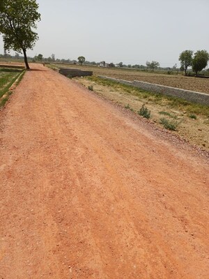 Plot Area in  Plot at Kanwara Village – for Sale