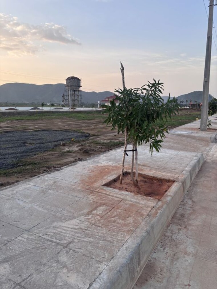 undefined, machavaram  198 Sq.Yd. Plot In Machavaram Vijayawada 10729005
