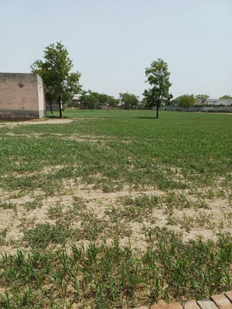 Garden, kanwara village  68 Sq.Yd. Plot In Kanwara Village Faridabad 10729021