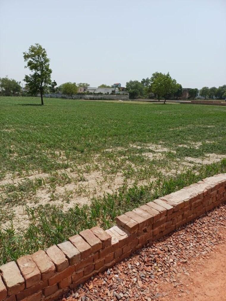 Swimming Pool, kanwara village  69 Sq.Yd. Plot In Kanwara Village Faridabad 10729030
