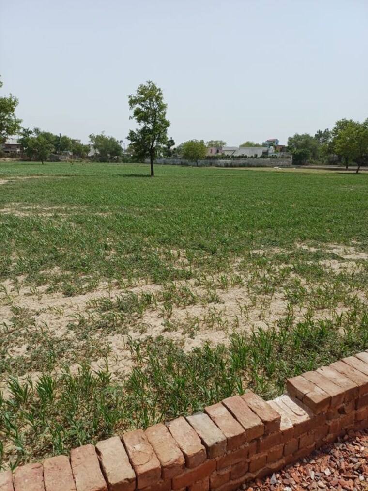 Garden, kanwara village  70 Sq.Yd. Plot In Kanwara Village Faridabad 10729034