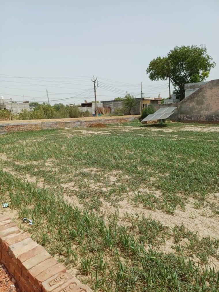 Garden, kanwara village  70 Sq.Yd. Plot In Kanwara Village Faridabad 10729034