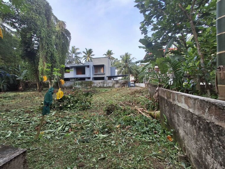 Exterior View, thiruvankulam  3572 Sq.Ft. Plot In Thiruvankulam Kochi 10728890
