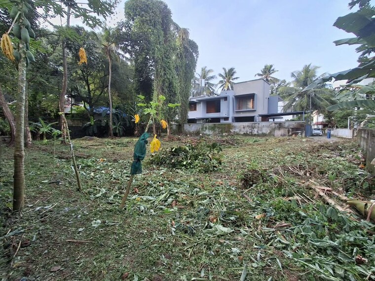 undefined, thiruvankulam  3572 Sq.Ft. Plot In Thiruvankulam Kochi 10728890
