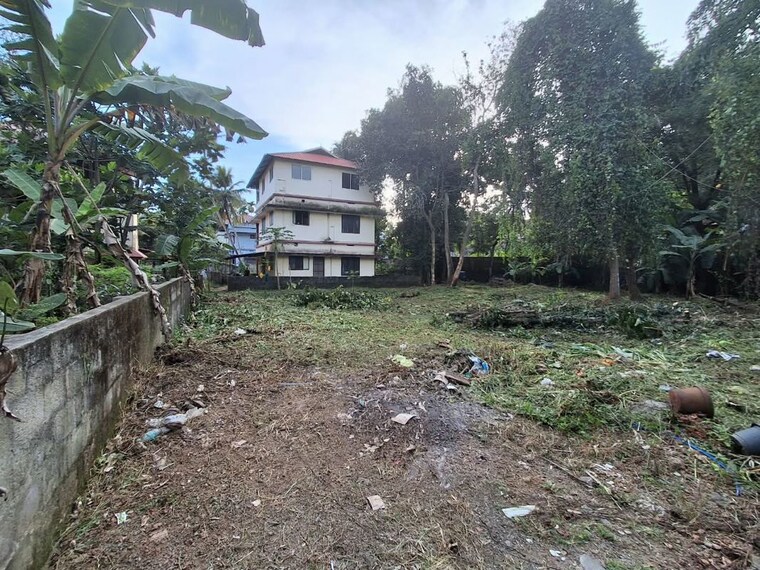 undefined, thiruvankulam  3572 Sq.Ft. Plot In Thiruvankulam Kochi 10728890