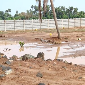 Plot Area in  Plot at Kothavalasa – for Sale