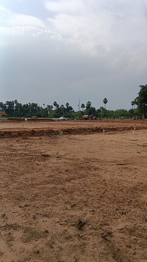  Plot For Sale in Kothavalasa