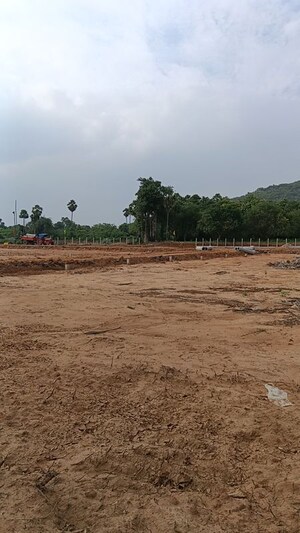 Plot Area in  Plot at Kothavalasa – for Sale
