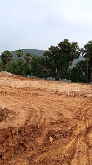 Plot Area in  Plot at Kothavalasa – for Sale