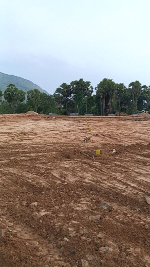 Plot Area in  Plot at Kothavalasa – for Sale