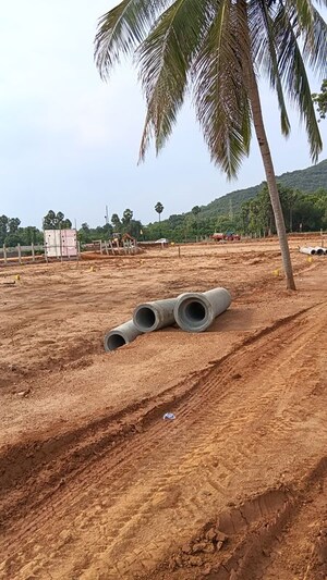 Plot Area in  Plot at Kothavalasa – for Sale