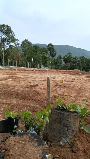 Plot Area in  Plot at Kothavalasa – for Sale