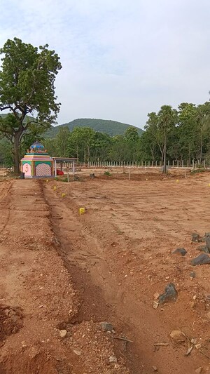  Plot For Sale in Kothavalasa