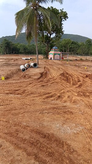 Plot Area in  Plot at Kothavalasa – for Sale