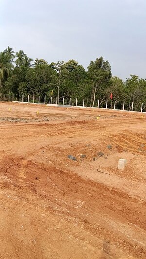 Plot Area in  Plot at Kothavalasa – for Sale
