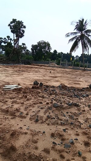 Plot Area in  Plot at Kothavalasa – for Sale