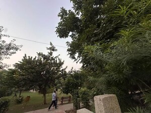 2 BHK Builder Floor – Garden View at Sector 48 - for Rent