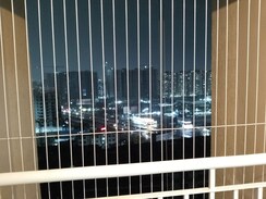 2 BHK +Apartment For Rent in Mahindra Happinest Tathawade Phase 1