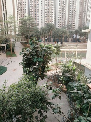 Balcony in 2 BHK Apartment at Lodha Splendora River View, Ghodbunder Road – for Rent