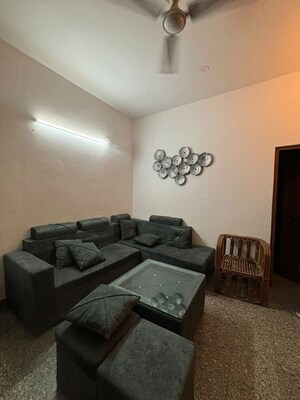 Living Room in 1 BHK Apartment at DLF City Phase III, Sector 24 – for Rent