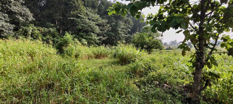 Garden, jagatpur  2700 Sq.Yd. Plot In Jagatpur Dehradun 10729424