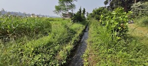  Plot – Garden View at Jagatpur - for Sale