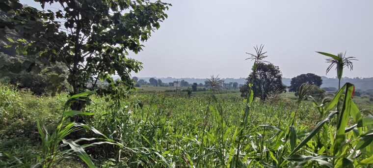 undefined, jagatpur  2700 Sq.Yd. Plot In Jagatpur Dehradun 10729424