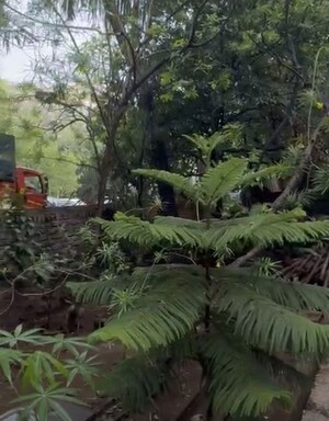  Land – Garden View at Juhu - for Sale