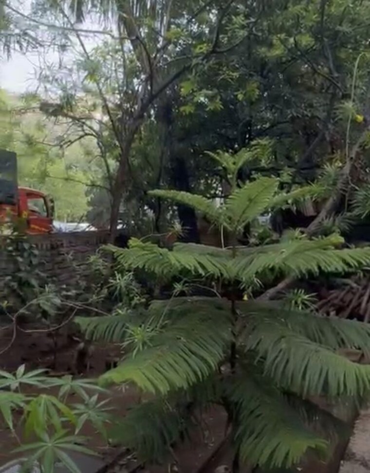 Garden, juhu Commercial Land 948 Sq.Mt. In Juhu Mumbai 10729764
