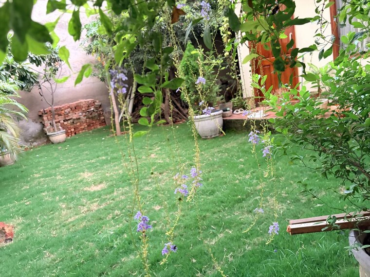 Garden, om nagar 6+ Bedroom 225 Sq.Yd. Independent House In Om Nagar Gurgaon 10729817
