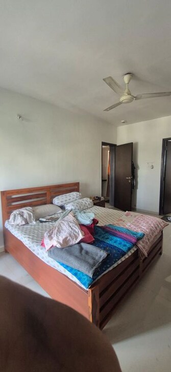 3 BHK +Apartment For Rent in Gulmohar Cottages in Viman Nagar, Pune