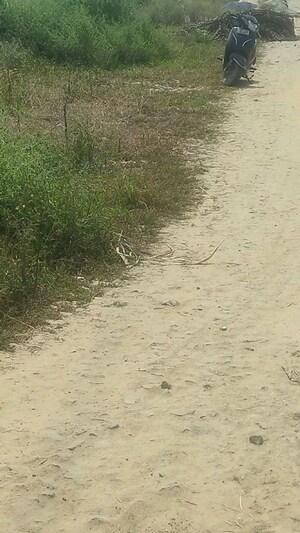 Plot Area in  Industrial Plot at Morta – for Sale