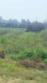 250 Sq.Ft. Industrial Plot in Morta