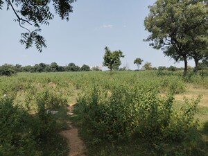 Plot Area in  Land at Tukkuguda – for Sale
