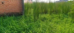  Plot – Exterior View View at Joka - for Sale