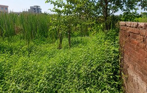  Plot For Sale in Joka