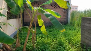  Plot – Exterior View View at Joka - for Sale