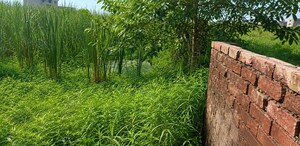  Plot – Exterior View View at Joka - for Sale