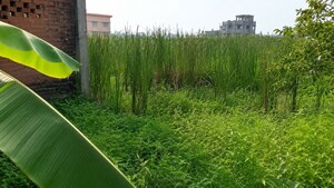  Plot – Exterior View View at Joka - for Sale