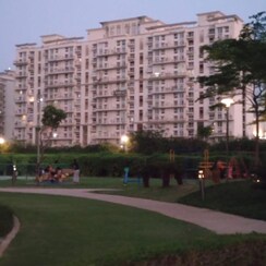 2.5 BHK +Apartment For Rent in Ireo Uptown