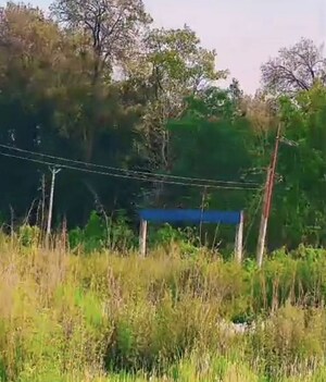 Plot Area in  Plot at Tilwari – for Sale