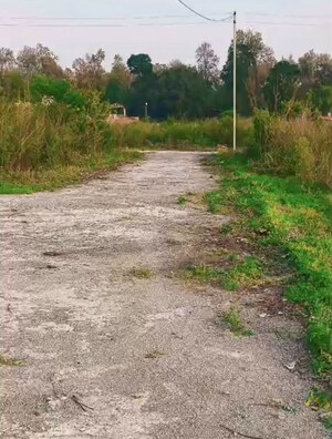 Plot Area in  Plot at Tilwari – for Sale