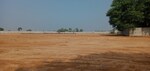 8 Acre Land in Laxmanpura