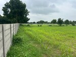8 Acre Plot in Bavla