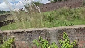 Plot Area in  Plot at Pundag – for Sale