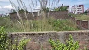 Plot Area in  Plot at Pundag – for Sale