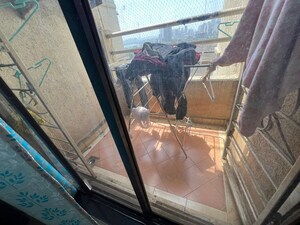 Balcony in 2 BHK Apartment at ArihantKrupa, Kharghar – for Rent