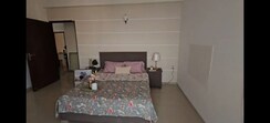 3 BHK Apartment For Sale in Omaxe Palm Greens