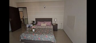3 BHK Apartment For Sale in Omaxe Palm Greens in Mu Greater Noida, Greater Noida
