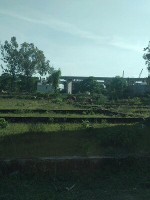 Plot Area in  Plot at Faizabad Road – for Sale